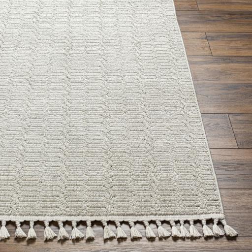 Surya Finland FND-2310 Cream 2'2" x 3'9" Rug