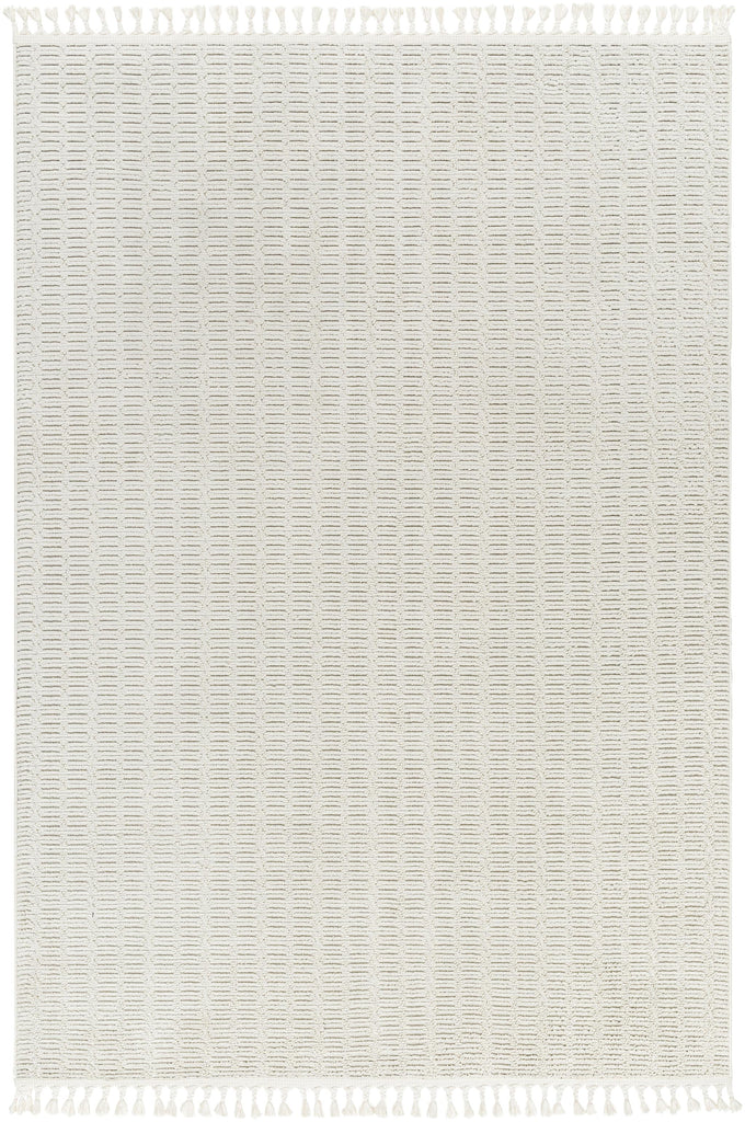 Surya Finland FND-2310 5'3" x 7' Rug