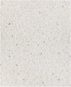 Surya Medora Mod-1005 2' X 3' Rug