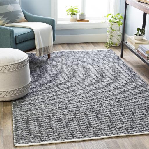 Surya Modena MOE-1000 Charcoal Cream 2' x 3' Rug