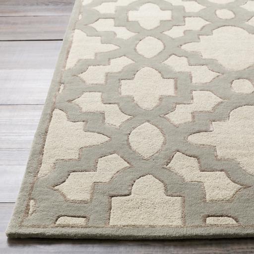 Surya Modern Classics CAN-2041 Gray Ivory 2'6" x 8' Rug