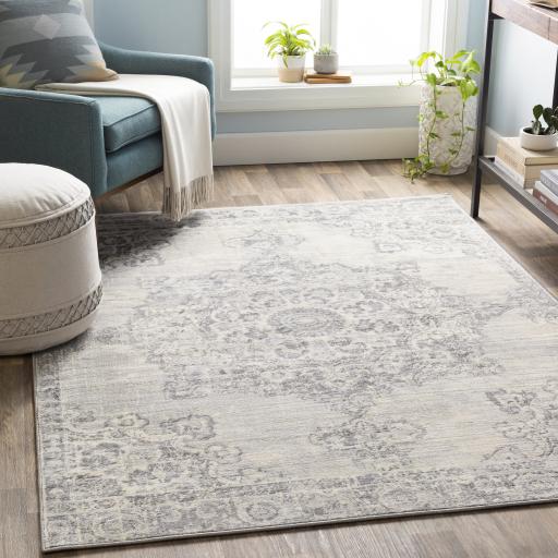 Surya Monaco MOC-2301 Gray Ivory 2' x 3' Rug