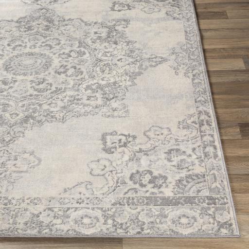 Surya Monaco MOC-2301 Gray Ivory 2' x 3' Rug