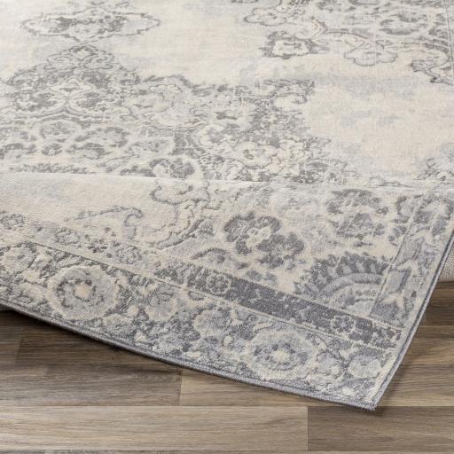 Surya Monaco MOC-2301 Gray Ivory 2' x 3' Rug