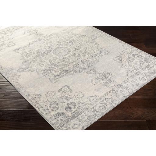 Surya Monaco MOC-2301 Gray Ivory 2' x 3' Rug