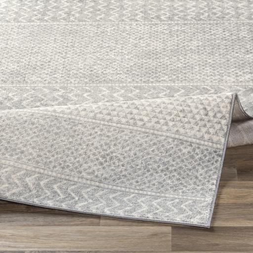 Surya Monaco MOC-2304 Gray Ivory 2' x 2'11" Rug