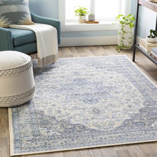 Surya Monaco MOC-2313 Denim Gray 2'7" x 7'3" Rug