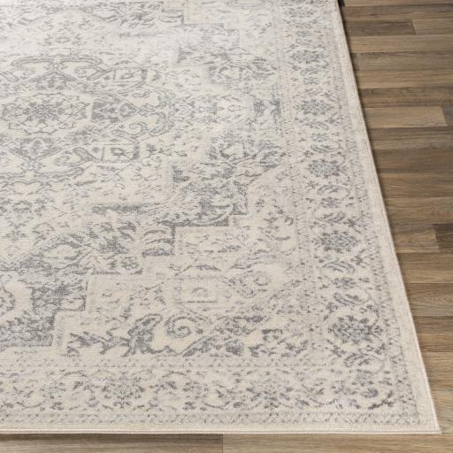 Surya Monaco MOC-2315 Gray Ivory 2' x 2'11" Rug