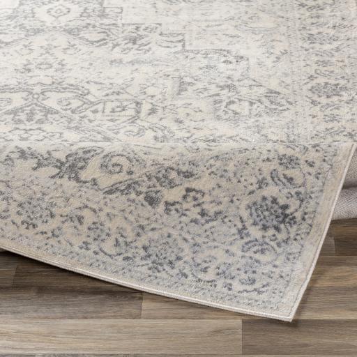 Surya Monaco MOC-2315 Gray Ivory 2' x 2'11" Rug