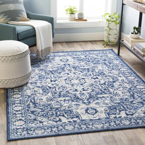 Surya Monaco MOC-2316 Denim Ivory 2' x 3' Rug