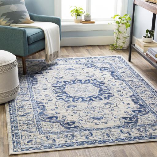 Surya Monaco MOC-2318 Denim Gray 2' x 3' Rug