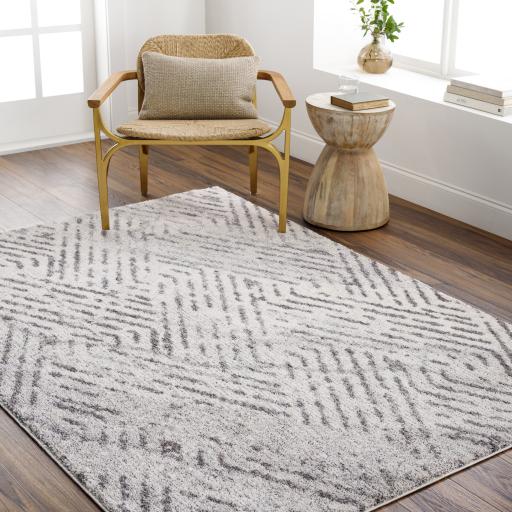 Surya Monet MMO-2305 Brown Cream 7'10" x 10' Rug