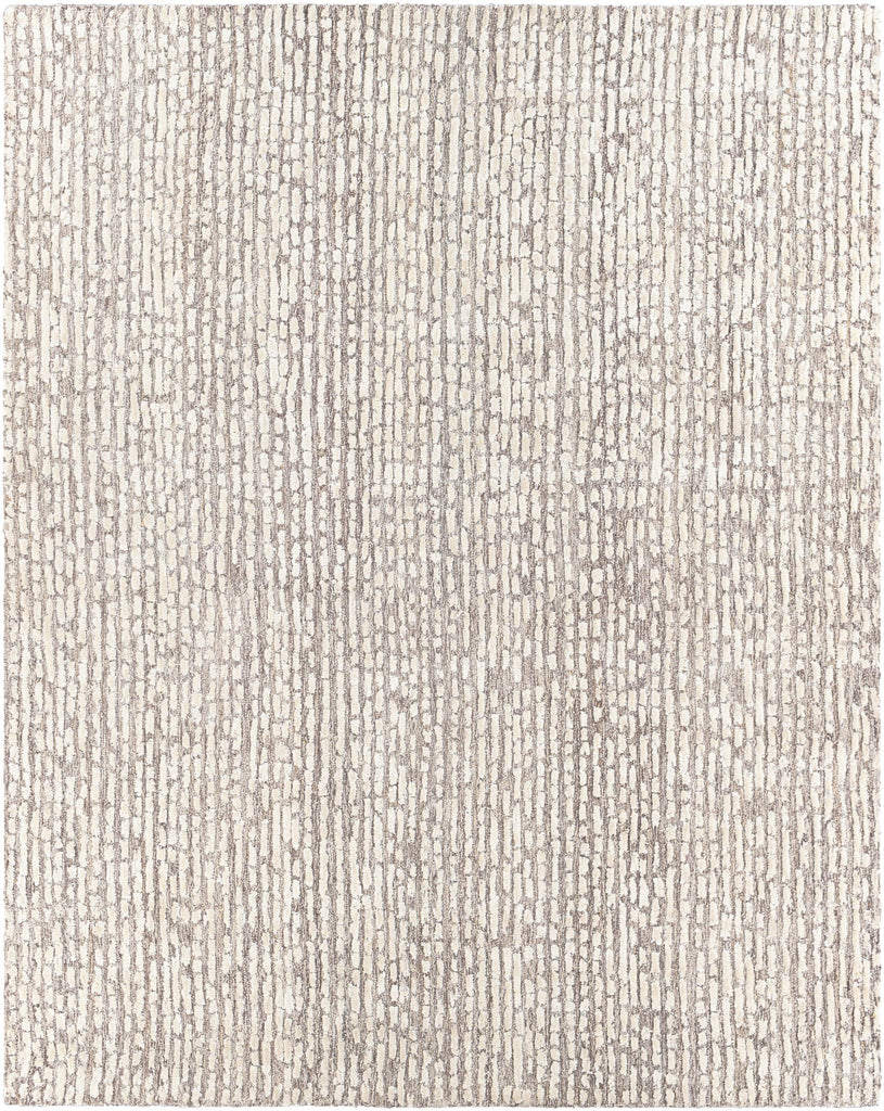 Surya Montclair MTC-2304 Beige Dark Brown 2' x 3' Rug