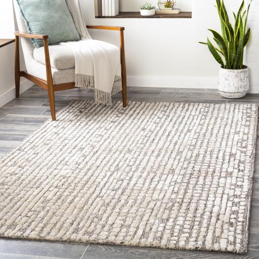 Surya Montclair MTC-2304 Beige Dark Brown 4' x 6' Rug