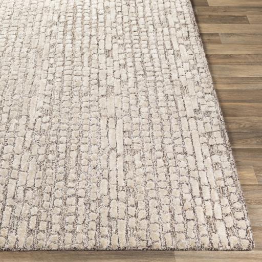 Surya Montclair MTC-2304 Beige Dark Brown 4' x 6' Rug