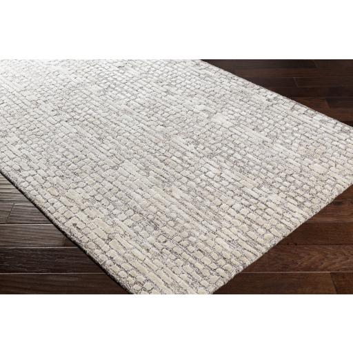 Surya Montclair MTC-2304 Beige Dark Brown 4' x 6' Rug