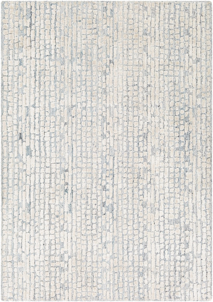 Surya Montclair MTC-2309 2' x 3' Rug