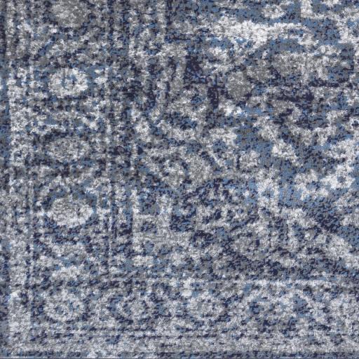 Surya Monte Carlo MNC-2301 Blue Charcoal 2'7" x 7'3" Rug