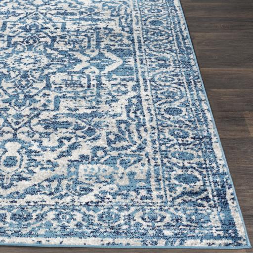 Surya Monte Carlo MNC-2302 Blue Light Gray 2'7" x 7'3" Rug