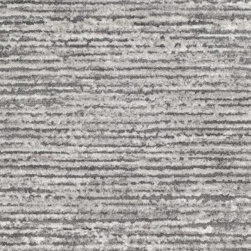 Surya Monte Carlo MNC-2308 Charcoal Light Gray 2'7" x 7'3" Rug