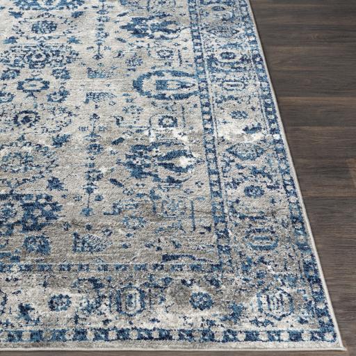 Surya Monte Carlo MNC-2310 Blue Light Gray 2'7" x 7'3" Rug