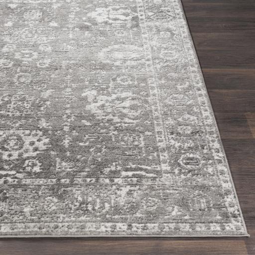 Surya Monte Carlo MNC-2311 Charcoal Light Gray 2'7" x 7'3" Rug