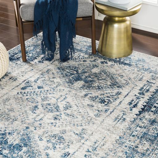 Surya Monte Carlo MNC-2313 Blue Light Gray 10' x 14' Rug