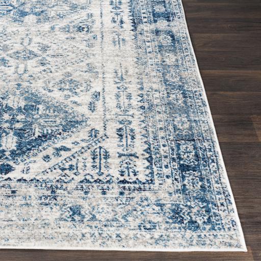 Surya Monte Carlo MNC-2313 Blue Light Gray 10' x 14' Rug