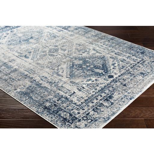 Surya Monte Carlo MNC-2313 Blue Light Gray 10' x 14' Rug