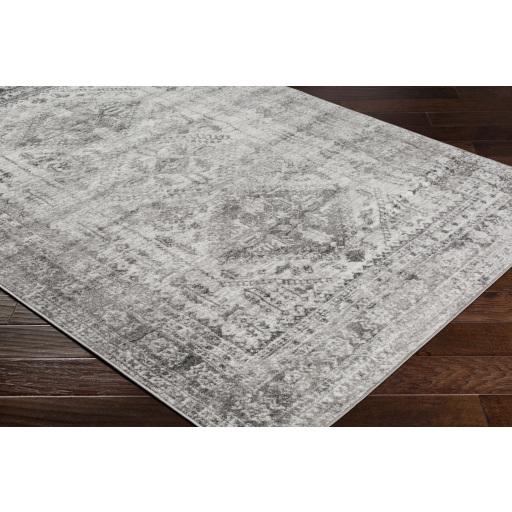 Surya Monte Carlo MNC-2314 Charcoal Light Gray 8'10" x 12' Rug