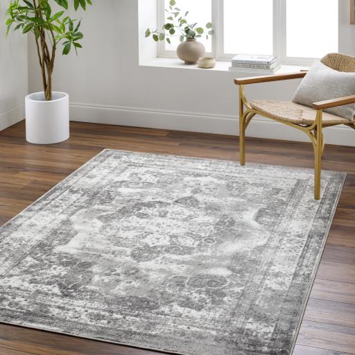 Surya Monte Carlo MNC-2351 Charcoal Cream 5'3" x 7'3" Rug