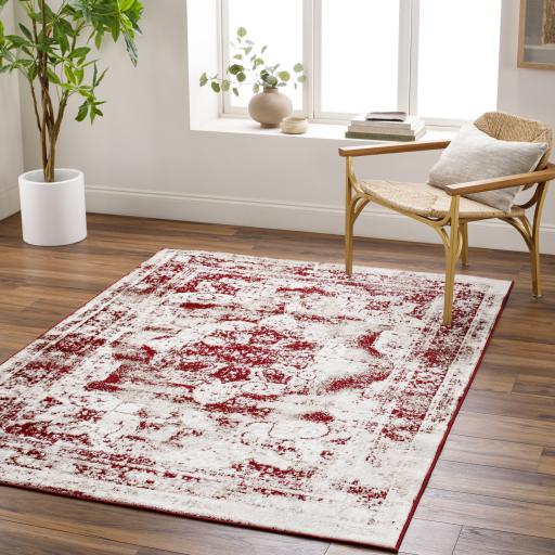 Surya Monte Carlo MNC-2352 Brick Red Dark Brown 5'3" x 7'3" Rug