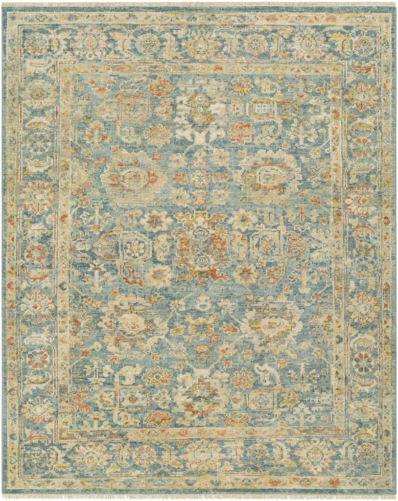 Surya Monterey MOY-2300 Blue Brown 2' x 3' Rug