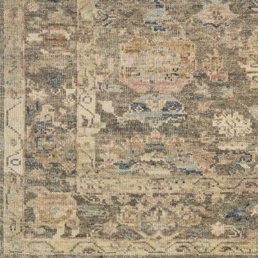 Surya Monterey MOY-2303 Beige Brown 8' x 10' Rug