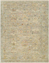 Surya Monterey Moy-2304 2' X 3' Rug