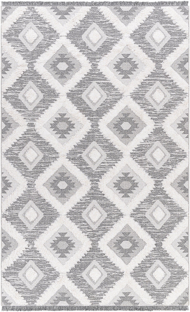 Surya Morocotton MCT-2303 2'1" x 3'9" Rug