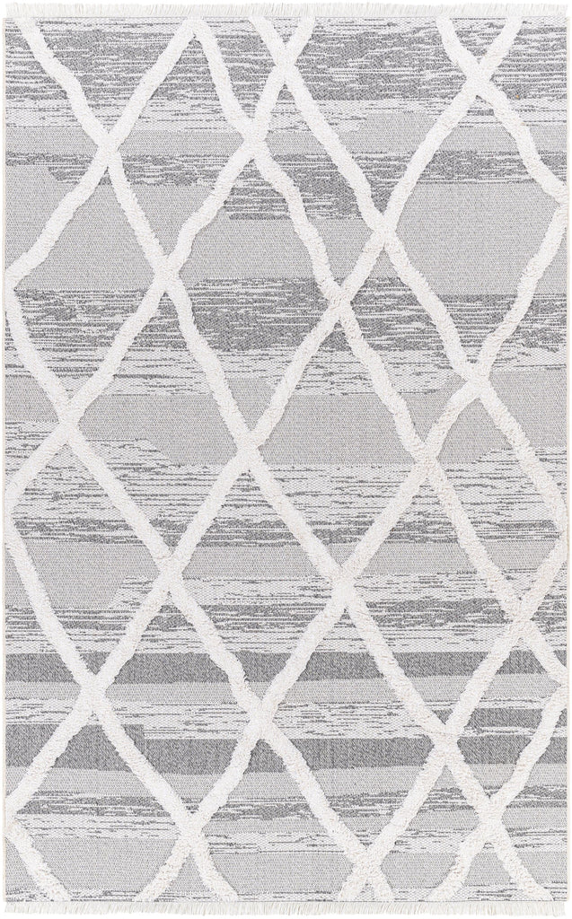 Surya Morocotton MCT-2306 2'1" x 3'9" Rug