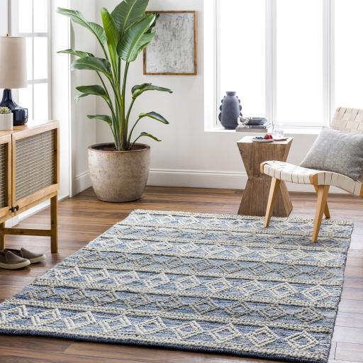 Surya Nadine NDD-2300 Beige Blue 2'3" x 3'9" Rug