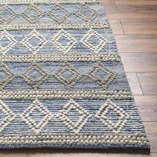 Surya Nadine NDD-2300 Beige Blue 2'3" x 3'9" Rug