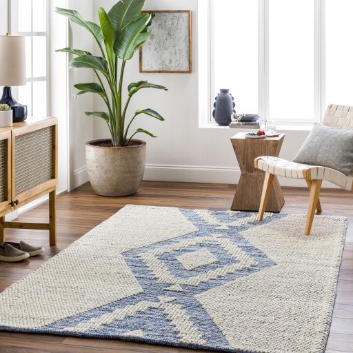 Surya Nadine NDD-2303 Beige Blue 2'3" x 3'9" Rug