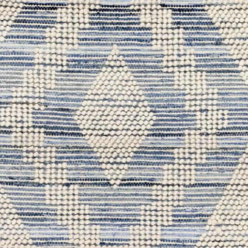 Surya Nadine NDD-2303 Beige Blue 2'3" x 3'9" Rug