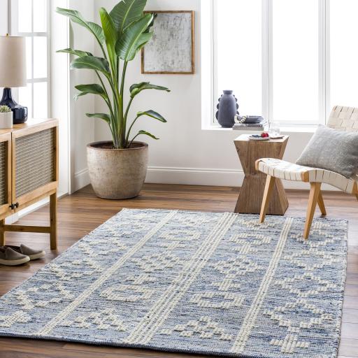 Surya Nadine NDD-2304 Beige Blue 2'3" x 3'9" Rug