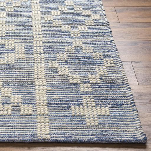 Surya Nadine NDD-2304 Beige Blue 2'3" x 3'9" Rug