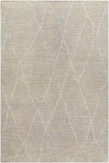 Surya Nalan Nyl-2300 2' X 3' Rug