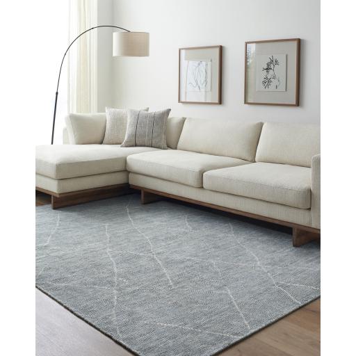 Surya Nalan NYL-2302 Medium Gray White 6' x 9' Rug