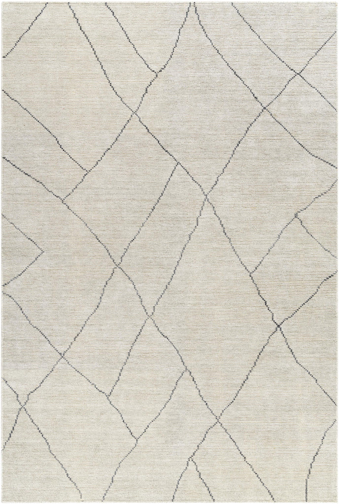 Surya Nalan NYL-2303 9' x 12' Rug