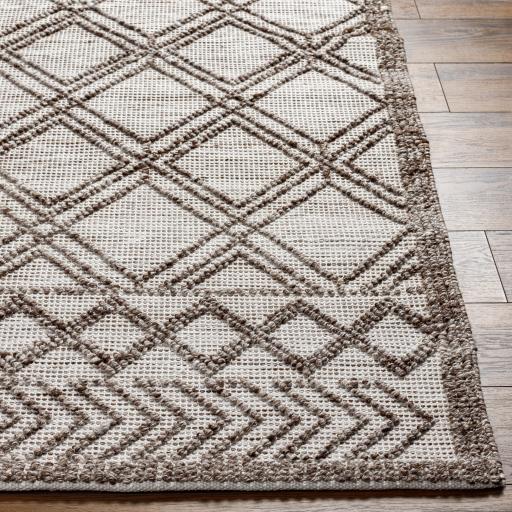 Surya Napoli NPO-2308 Beige Dark Brown 2' x 3' Rug