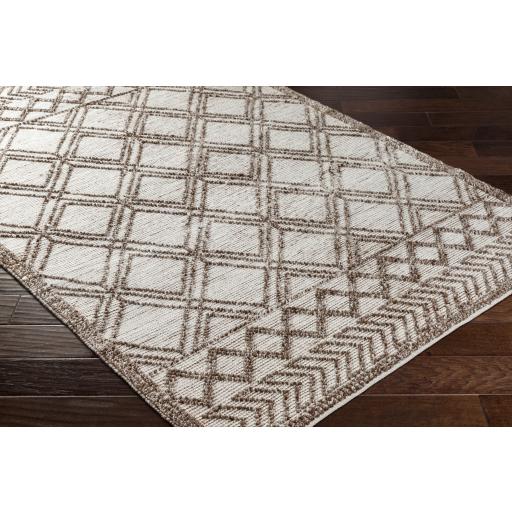 Surya Napoli NPO-2308 Beige Dark Brown 2' x 3' Rug