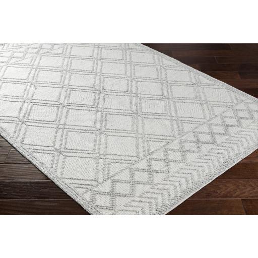 Surya Napoli NPO-2310 Black Light Gray 2' x 3' Rug