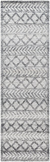 Surya Napoli Npo-2311 2' X 3' Rug